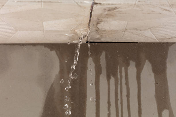 Professional Structural Drying technician working in Medford, NY